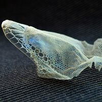 Um biomaterial inovador cura tecidos de dentro para fora e pode mudar a maneira como nos recuperamos 