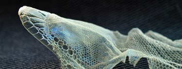 Um biomaterial inovador cura tecidos de dentro para fora e pode mudar a maneira como nos recuperamos