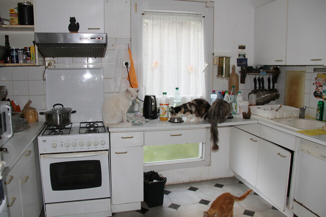 Floor Home Cottage Kitchen Property Room 169651 Pxhere Com