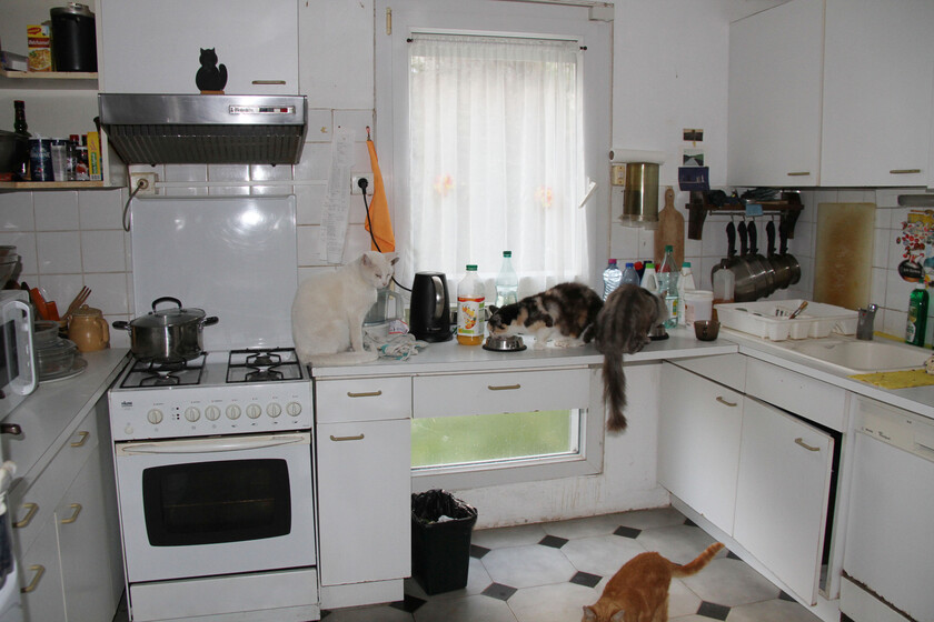 Floor Home Cottage Kitchen Property Room 169651 Pxhere Com