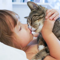 Los gatos ayudan a los niños con autismo a mejorar sus relaciones sociales