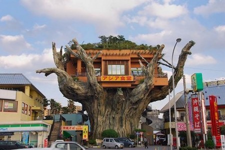 Un restaurante sobre los árboles en Japón