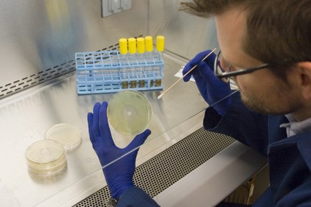 Investigación sobre microbios del coche