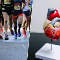 Pensábamos que la maratón destrozaba el corazón. El mayor seguimiento médico hasta la fecha acaba de zanjar el debate