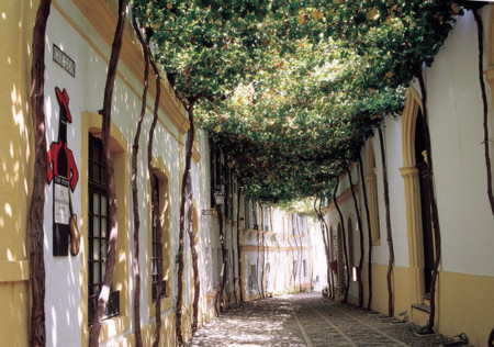 Callesevilla