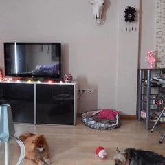 Foto 19 de 22 de la galería muestras-de-camara-alcatel-a7 en Xataka Móvil