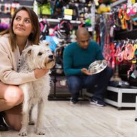 El boom de tiendas para mascotas en México explica algo claro: hoy nos importan más que nunca