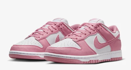 Nike Dunk Next Nature