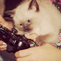 ¿Tienen la culpa los videojuegos del desempleo? Un economista cree que sí