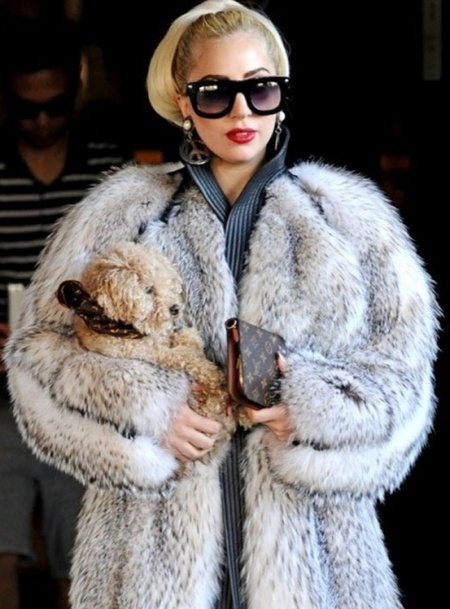gaga