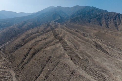 Imagem | J.L. Bongers