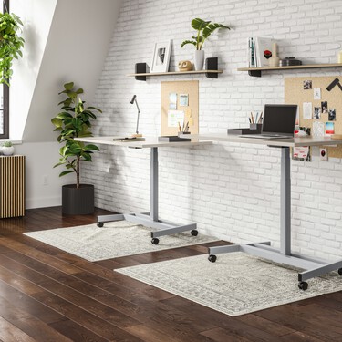 Acaban de llegar a Lidl las plantas de interior más bonitas y fáciles de cuidar