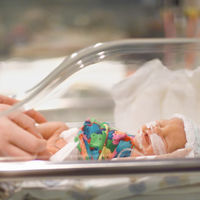 Los nacimientos de bebés prematuros se redujeron durante la pandemia del coronavirus  