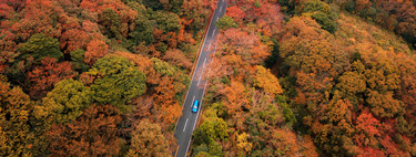 Las mejores rutas por España a través del otoño más japonés 
