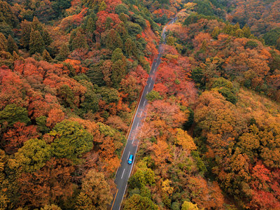 Las mejores rutas por España a través del otoño más japonés 
