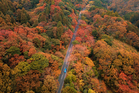 Las mejores rutas por España a través del otoño más japonés
