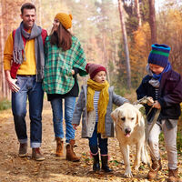 Si tienes animales en casa, estas son tus nuevas obligaciones a partir de octubre con la nueva ley de bienestar animal