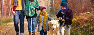 Si tienes animales en casa, estas son tus nuevas obligaciones a partir de octubre con la nueva ley de bienestar animal