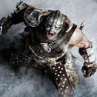 Un fan se puso un nombre de usuario relacionado con Skyrim. La policía lo arrestó y fue condenado a prisión por más de un año 