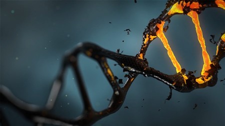 Primera prueba realizada en EEUU para combatir el cáncer usando la herramienta de edición CRISPR