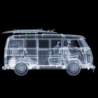 Cadáveres, coches y radiografías. Los expertos coinciden en que es macabro, pero este artista crea obras hipnóticas