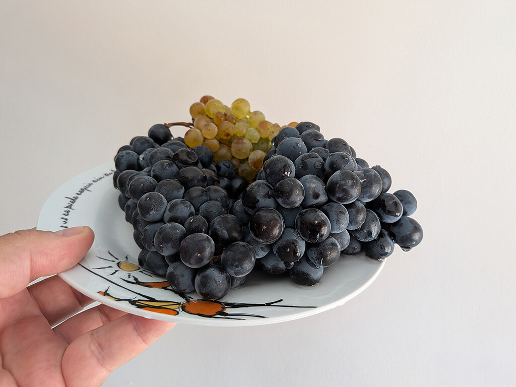 Tienen muchas pepitas y la piel más gruesa, pero las uvas para hacer vino le dan mil vueltas como fruta a las uvas de mesa