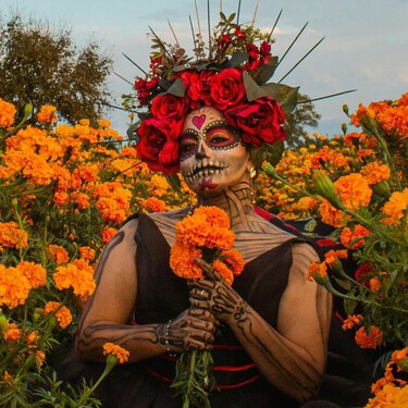 Cuánto cuesta y cómo reservar el tour Cempasúchil en Xochimilco para disfrutar el Día de Muertos 2025