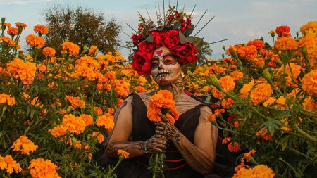 Cuánto cuesta y cómo reservar el tour Cempasúchil en Xochimilco para disfrutar el Día de Muertos 2025