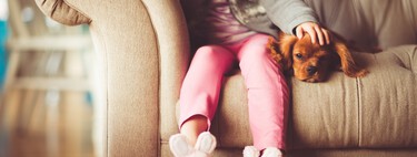 Los veterinarios coinciden: "El riesgo de tener una mascota es amarla de forma incorrecta. Los perros no son niños" 