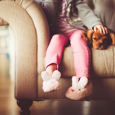 Los veterinarios coinciden: "El riesgo de tener una mascota es amarla de forma incorrecta. Los perros no son niños" 