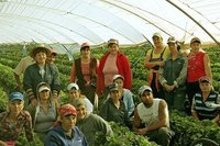 ¿Por qué necesitamos traer 3.000 trabajadores inmigrantes para recoger la fresa?