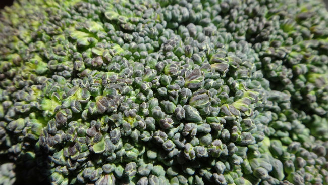 14312198054 6ac710982c K