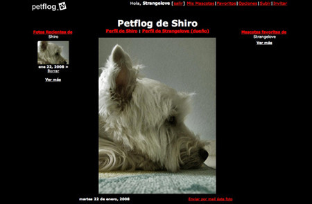 PetFlog: un fotoblog para mascotas