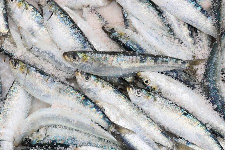 Sardinas Sal