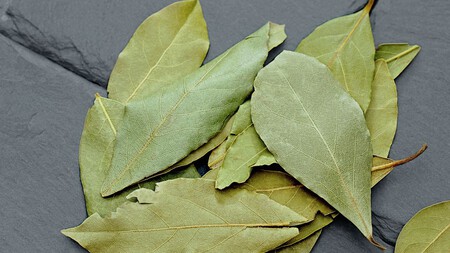 Laurel