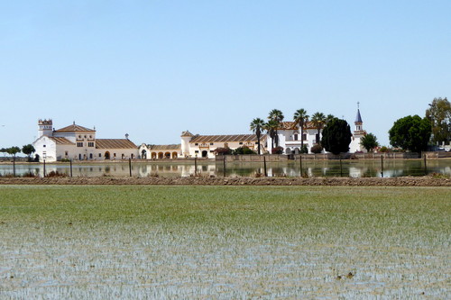 Paisaje y paisanaje en las marismas del Guadalquivir: Isla Mayor, Isla Menor e Isla Mínima