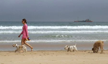 El 'Perro hotel' no es la única opción para nuestras mascotas en vacaciones