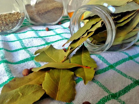 Bay Leaf 2942399 1920
