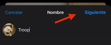 ペット iOS 17 名前 iPhone Apple