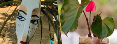 Cómo reutilizar botellas de plástico para crear macetas y cultivar tus plantas en casa