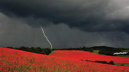 Danny Beath, ganador del Travel Photo of the Year en el día de su funeral