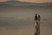 Curso online: la técnica del semáforo de Familias Inteligentes 