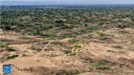 Deserto de Mu Us