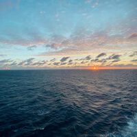 Centenas de espécies foram descobertas na exploração do Pacífico — mas o motivo das pesquisas é alarmante 