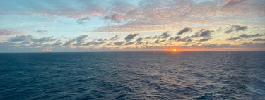 Centenas de espécies foram descobertas na exploração do Pacífico — mas o motivo das pesquisas é alarmante 