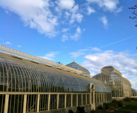 Jardin Botanico