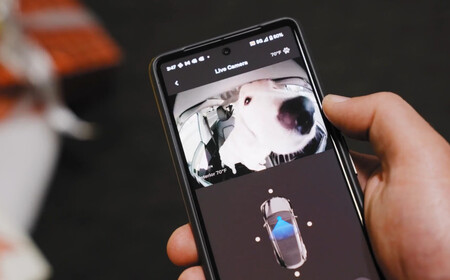 Tesla Dog Mode update