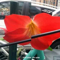 Foto 3 de 15 de la galería mejora-de-la-camara-del-nexus-5-con-android-4-4-1 en Xataka Android