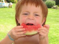 Las frutas de temporada, una buena manera de hidratarnos frente al calor