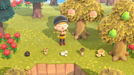 Animal Crossing: New Horizons: cómo conseguir todos los tipos de champiñones